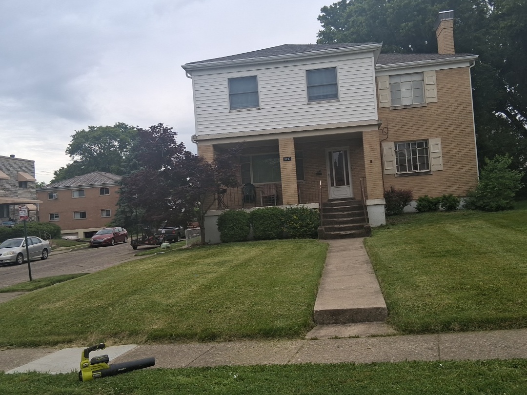 Lawn Care / Mowing