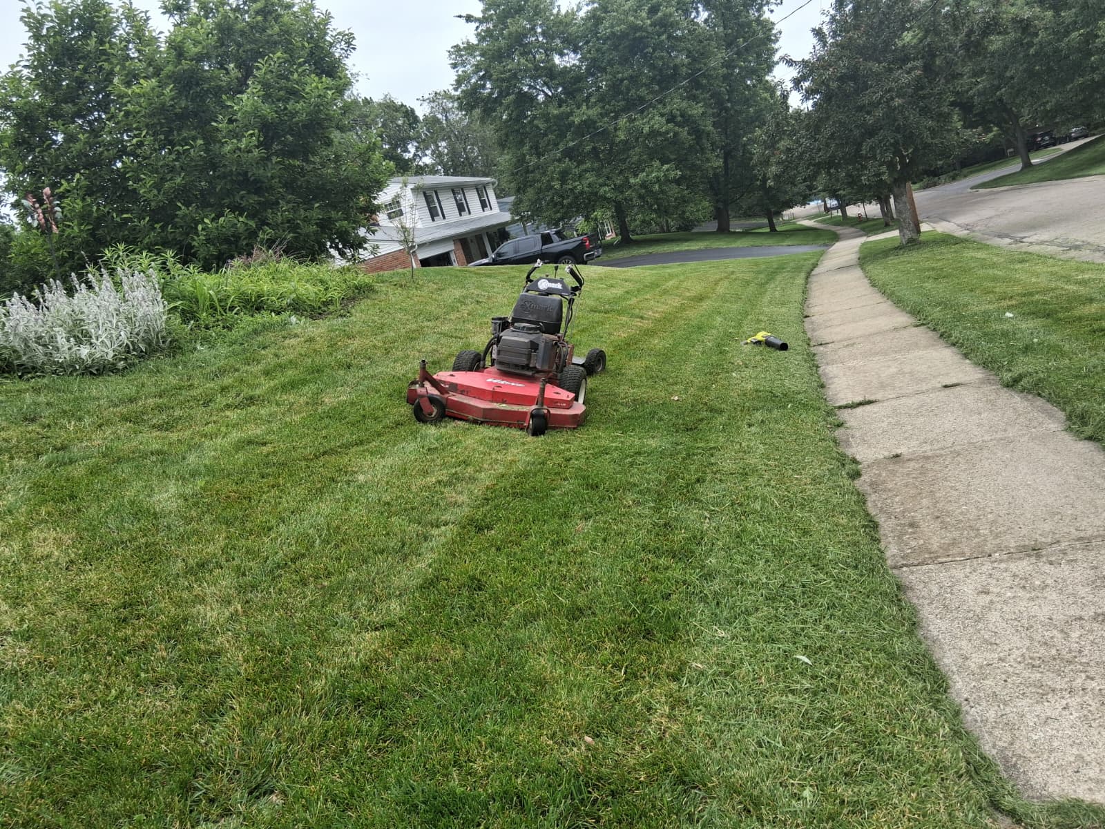 Mulching & Cleanup