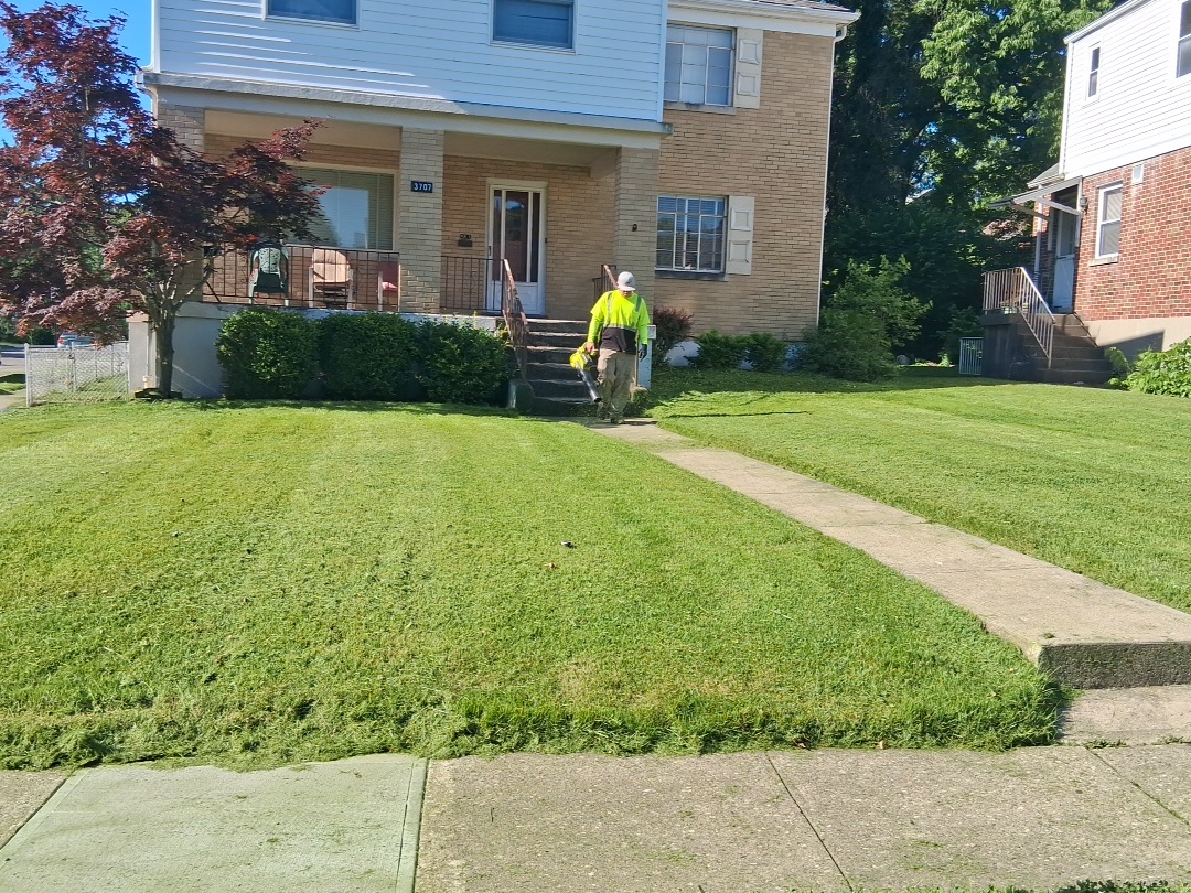 Fertilizing